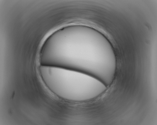 X0000114151522200910081102