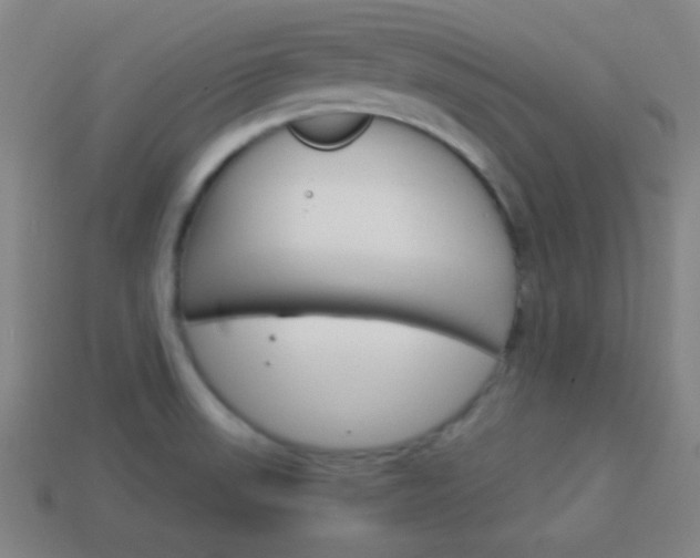 X0000114151523200910081102
