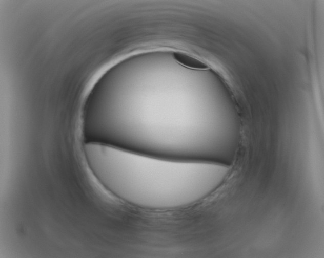 X0000114151524200910081102
