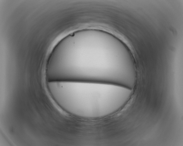 X0000114151525200910081102