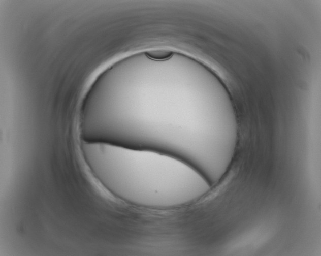 X0000114151526200910081102
