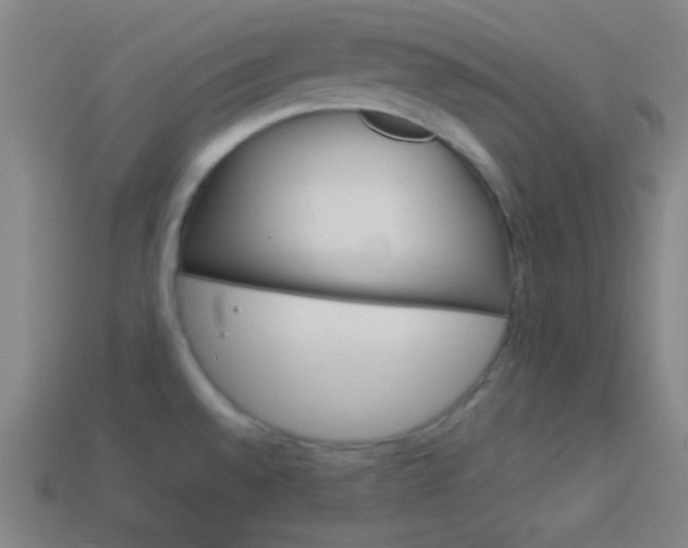 X0000114151528200910081102