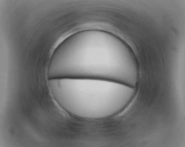 X0000114151529200910081102