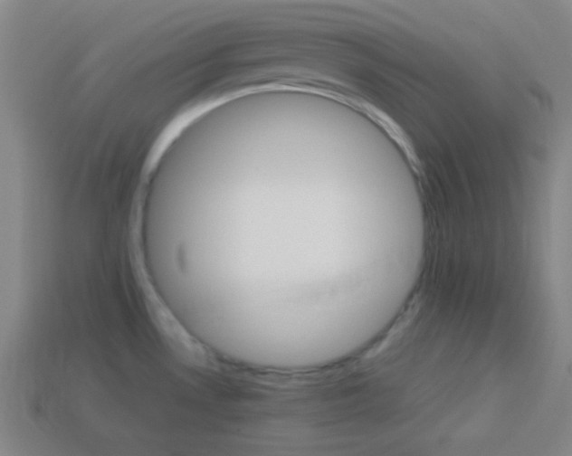X0000114151530200910081102