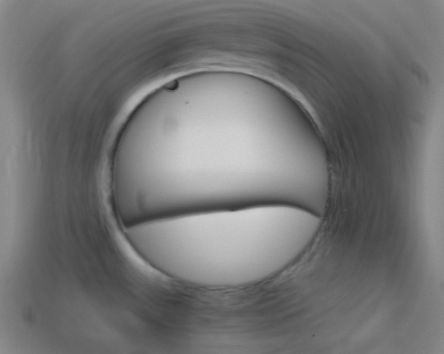 X0000114151531200910081102