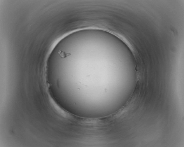 X0000114151532200910081102