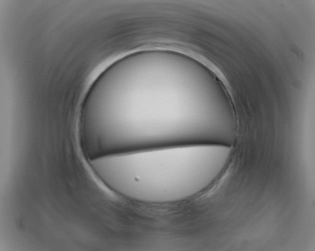 X0000114151533200910081102