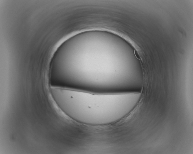 X0000114151534200910081102
