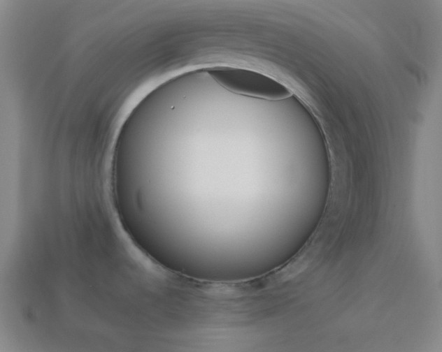 X0000114151536200910081102
