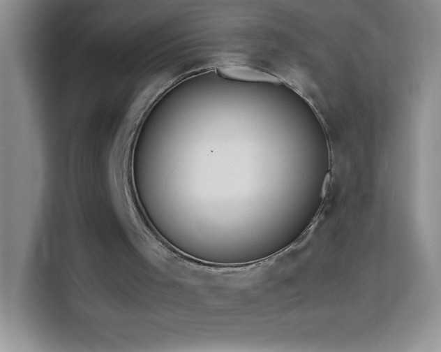 X0000114150001200910081342