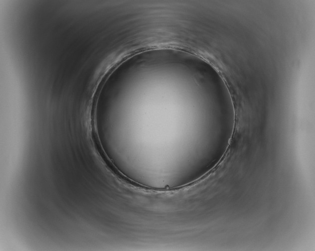 X0000114150002200910081342