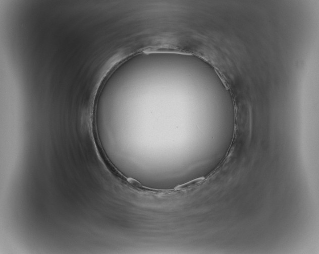 X0000114150003200910081342
