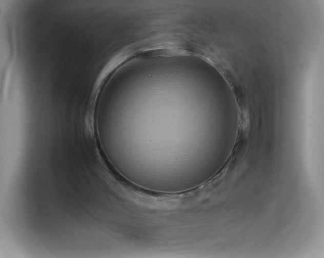 X0000114150004200910081342