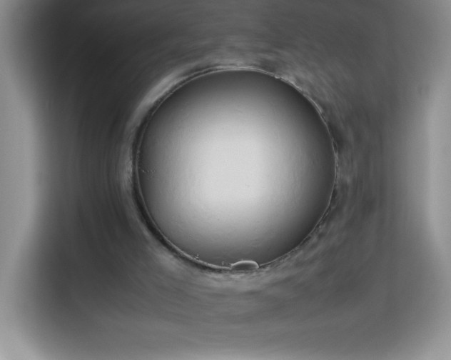 X0000114150005200910081342