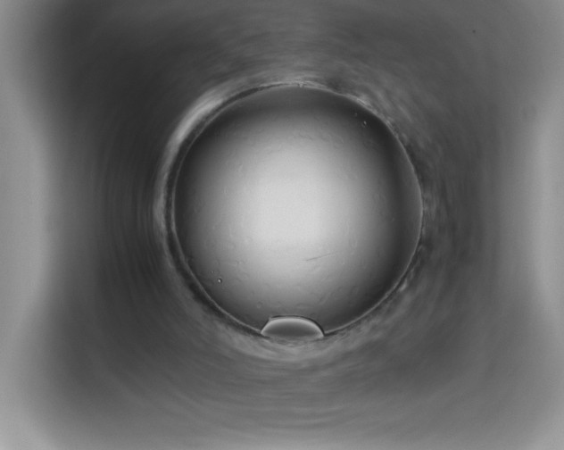 X0000114150006200910081342