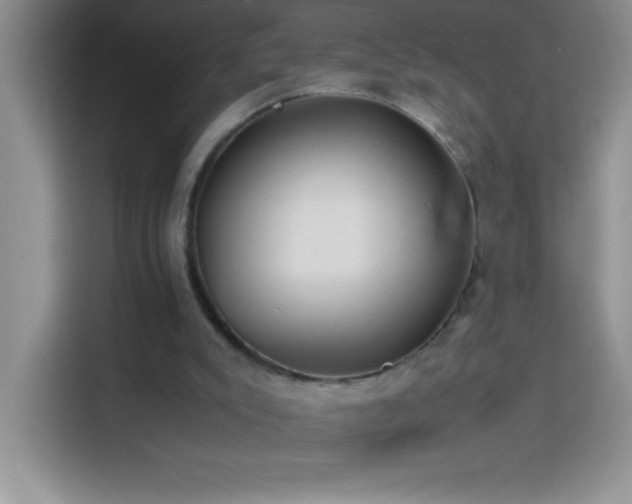 X0000114150007200910081342