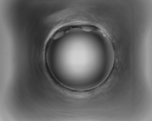 X0000114150008200910081342