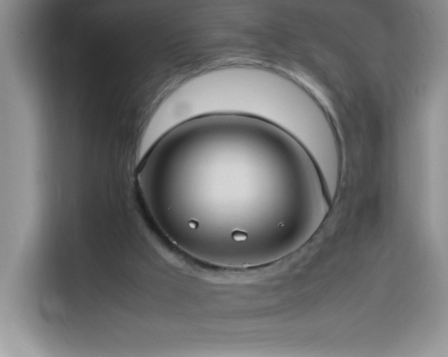 X0000114150009200910081342