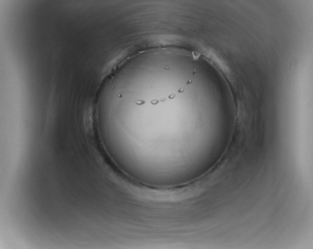 X0000114150010200910081342