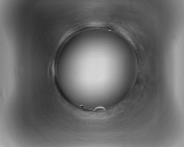 X0000114150011200910081342