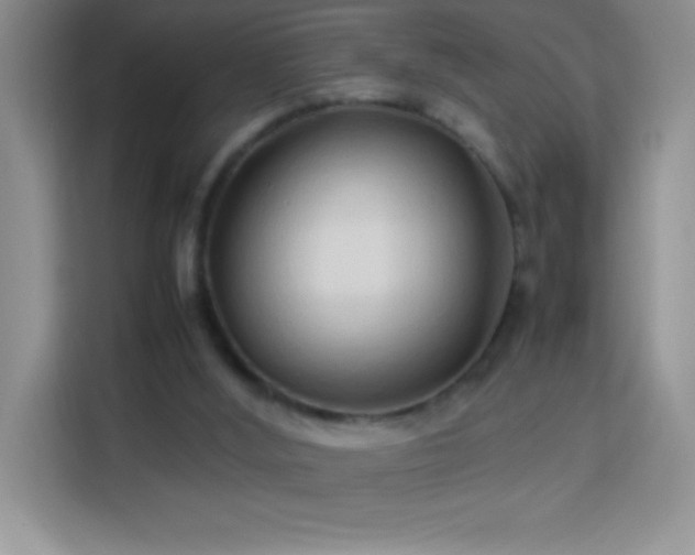 X0000114150012200910081342