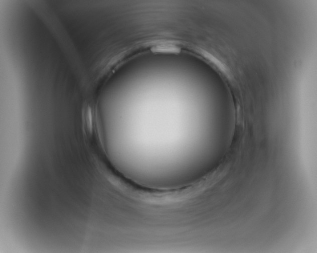 X0000114150013200910081342