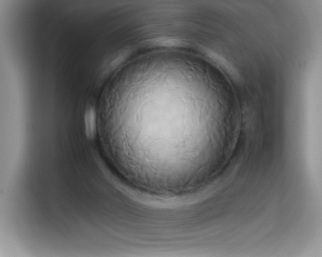 X0000114150014200910081342