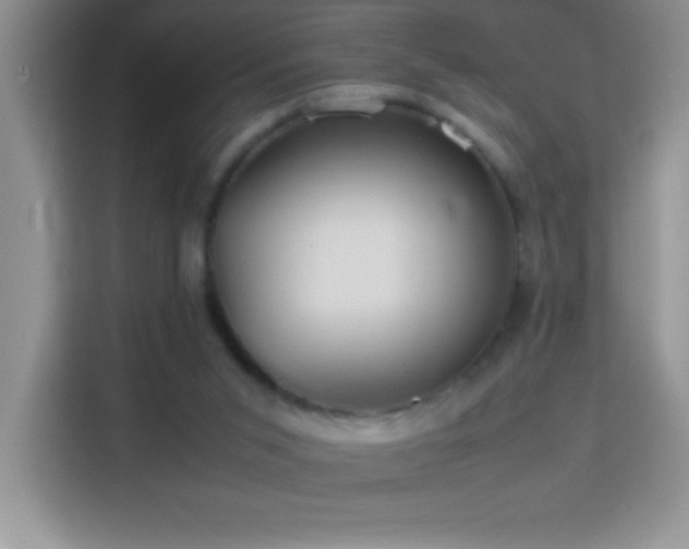 X0000114150015200910081342