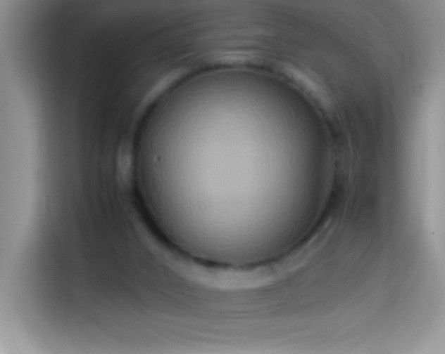 X0000114150016200910081342