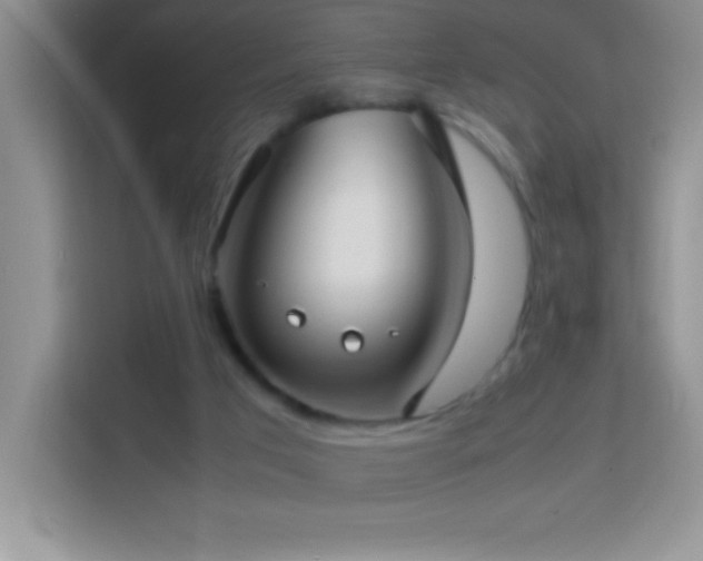 X0000114150017200910081342