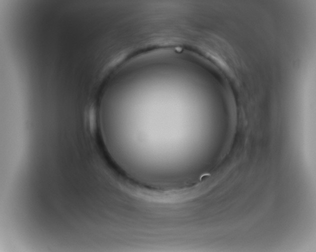X0000114150019200910081342
