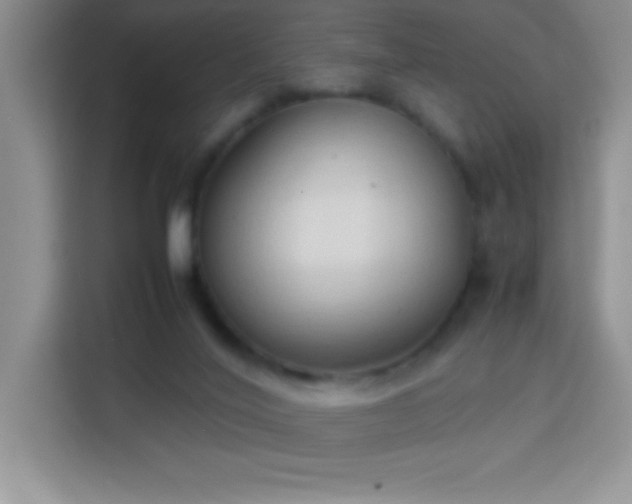 X0000114150020200910081342