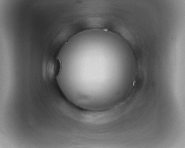 X0000114150021200910081342