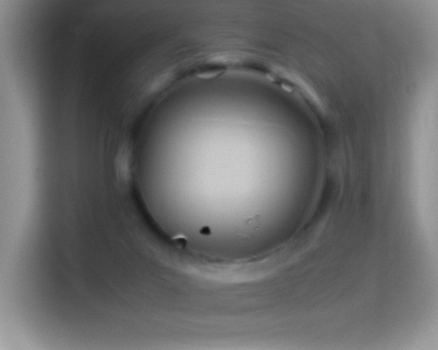 X0000114150023200910081342