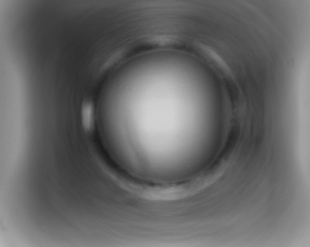 X0000114150024200910081342