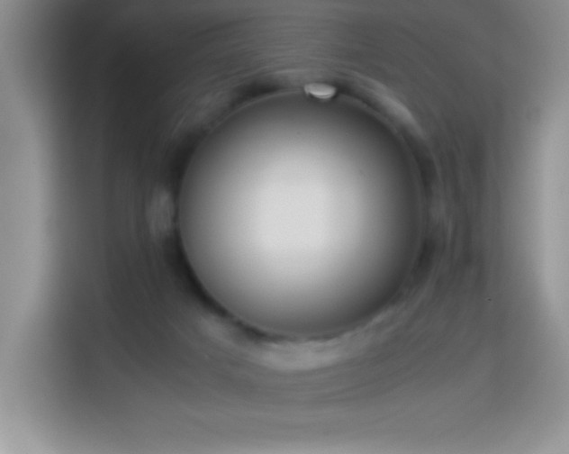 X0000114150025200910081342