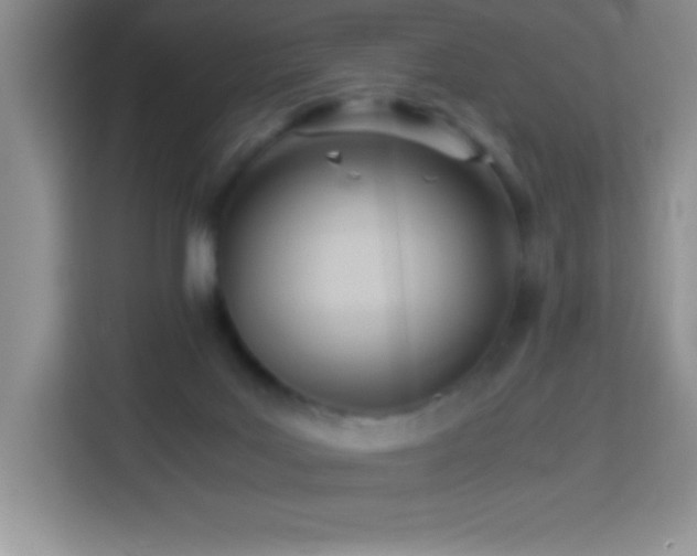 X0000114150027200910081342