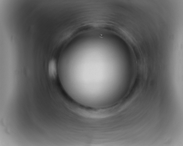 X0000114150028200910081342