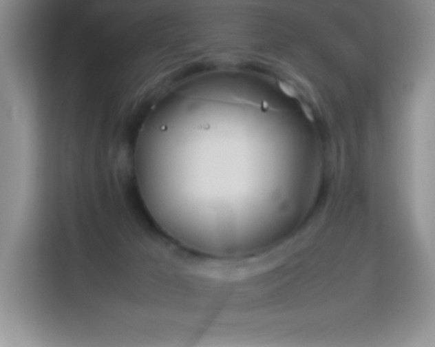 X0000114150029200910081342