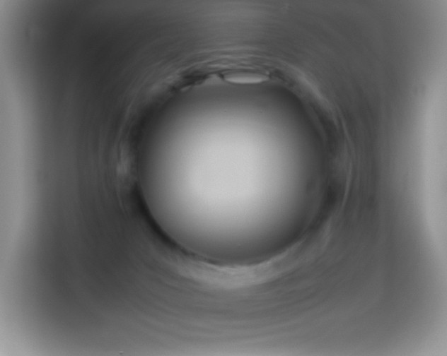 X0000114150031200910081342