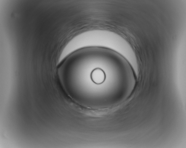 X0000114150033200910081342