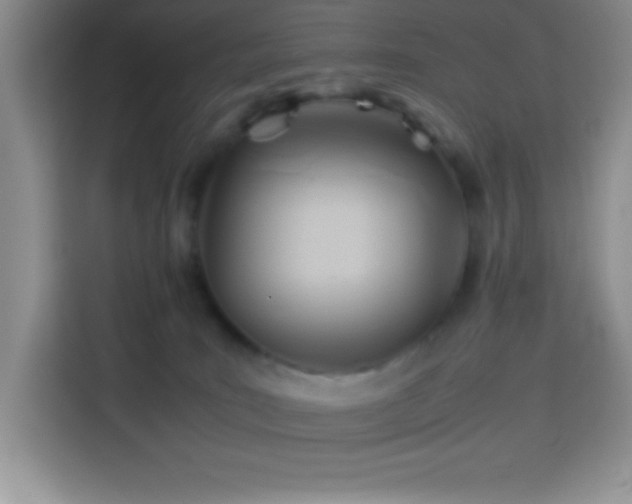 X0000114150035200910081342