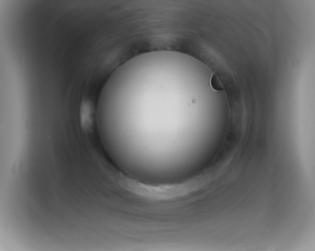 X0000114150038200910081342