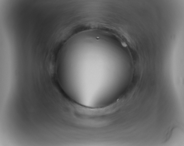 X0000114150039200910081342