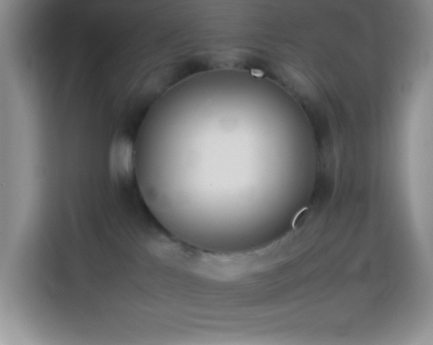 X0000114150041200910081342