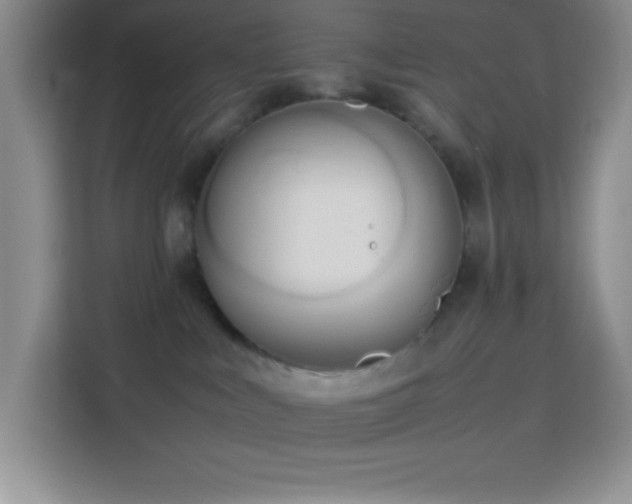 X0000114150043200910081341