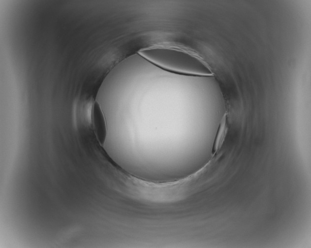 X0000114150047200910081341