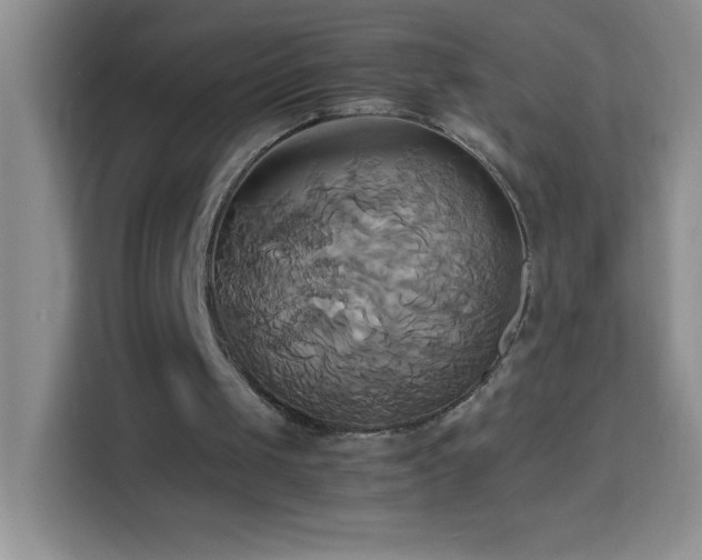 X0000114150049200910081341