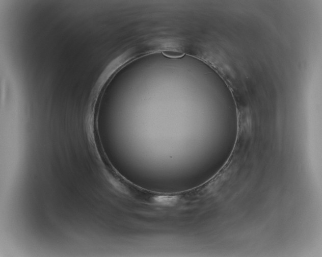 X0000114150051200910081341