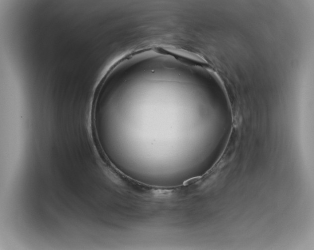 X0000114150052200910081341